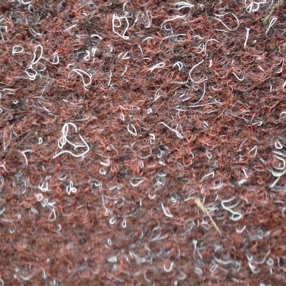 Beaulieu Real XENO 3880