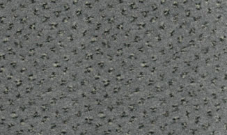 Balta Star