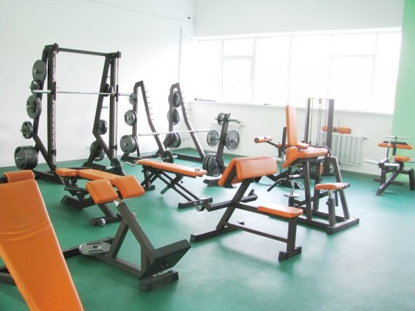 Grabo Gymfit 50 