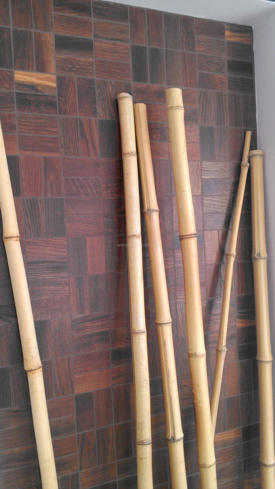 Elegant Ritmo Natural  