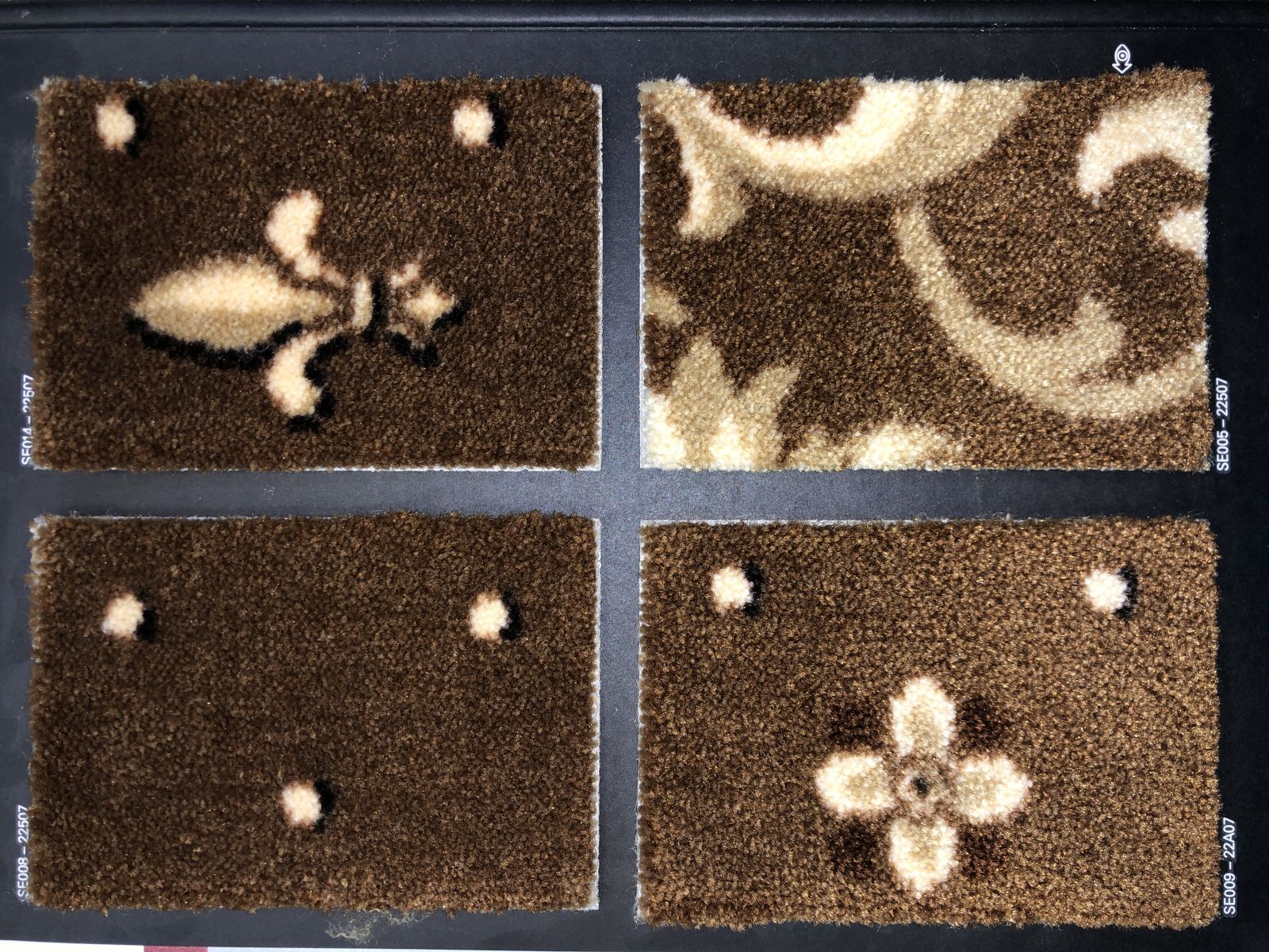 Carus Hospitality SE010 