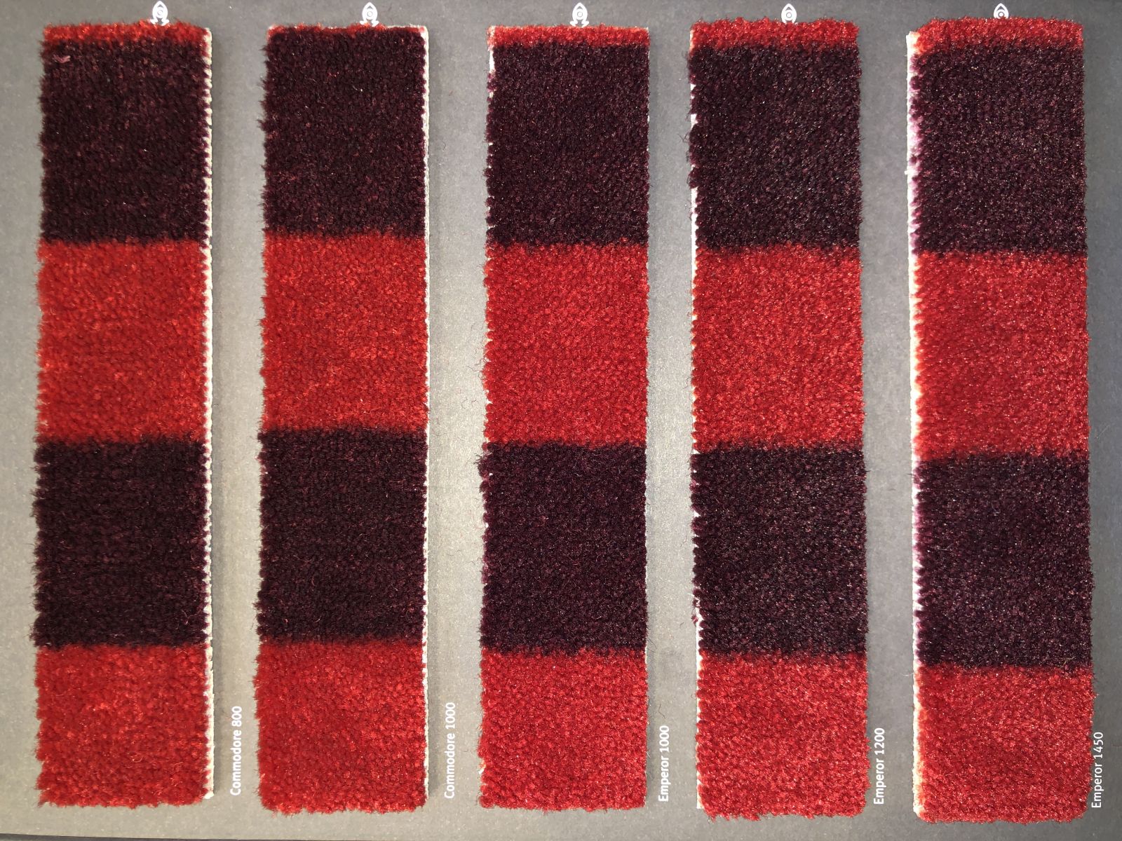 Carus Hospitality SE010 