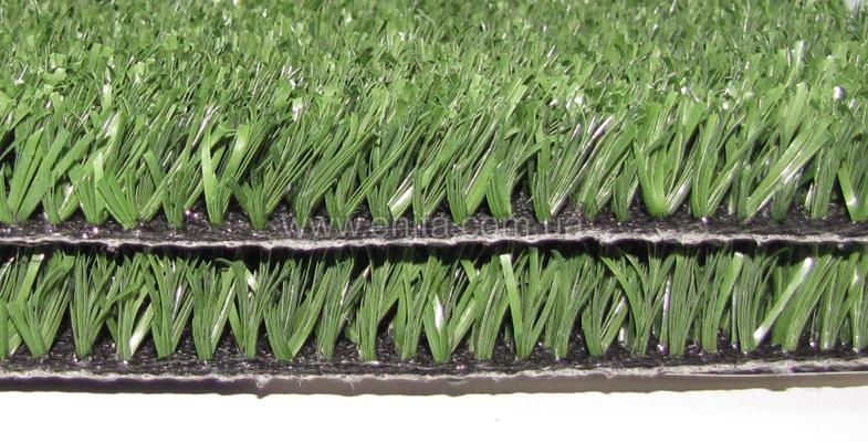 CCGrass YEII 15 Разрез