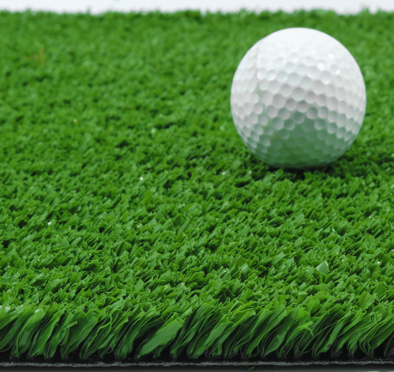 CCGrass YEII 15 Разрез