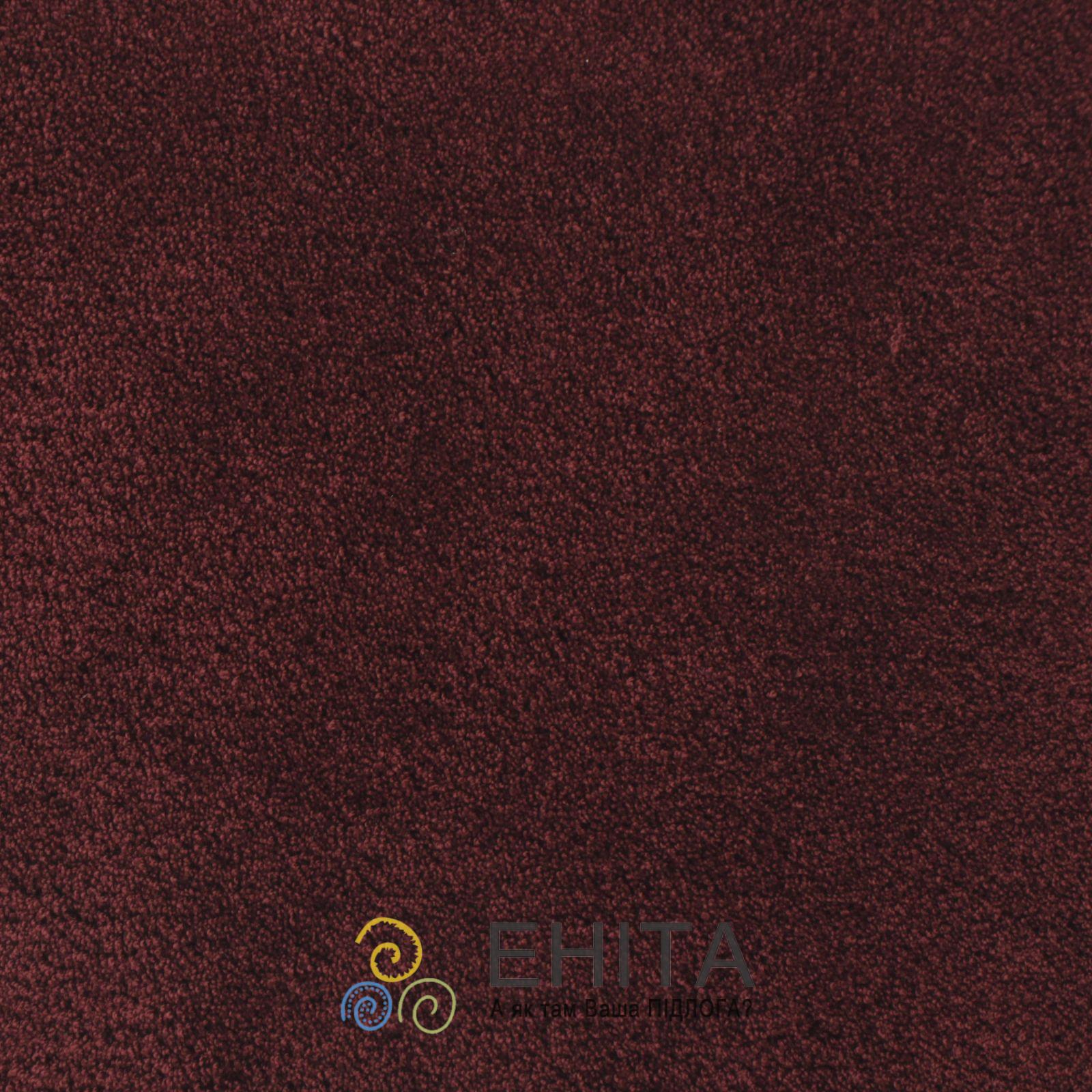 AW Anastasia 19 Вид сверху