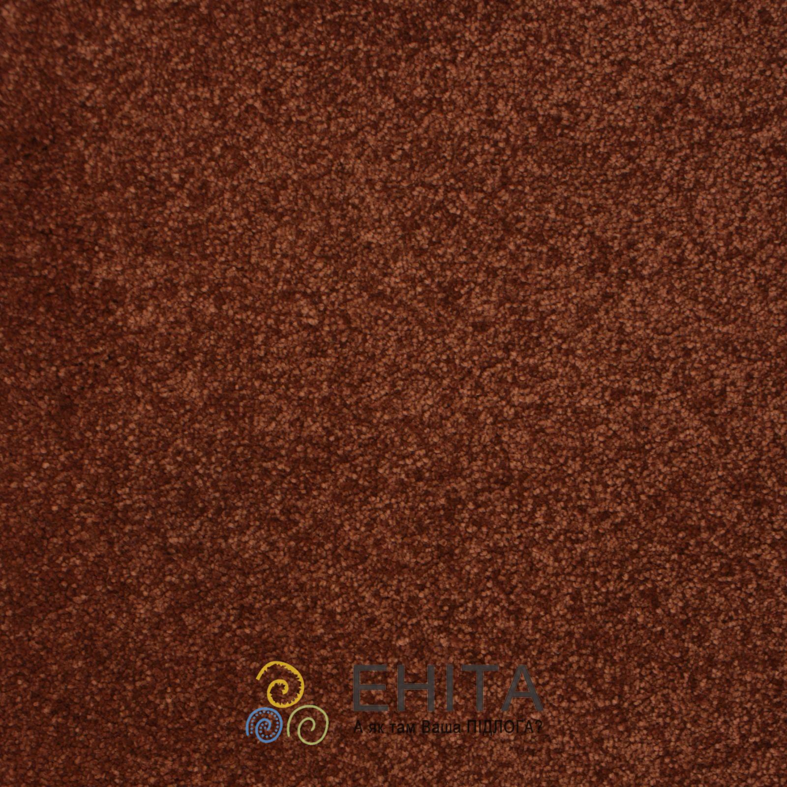 AW Sakura 84 Вид сверху