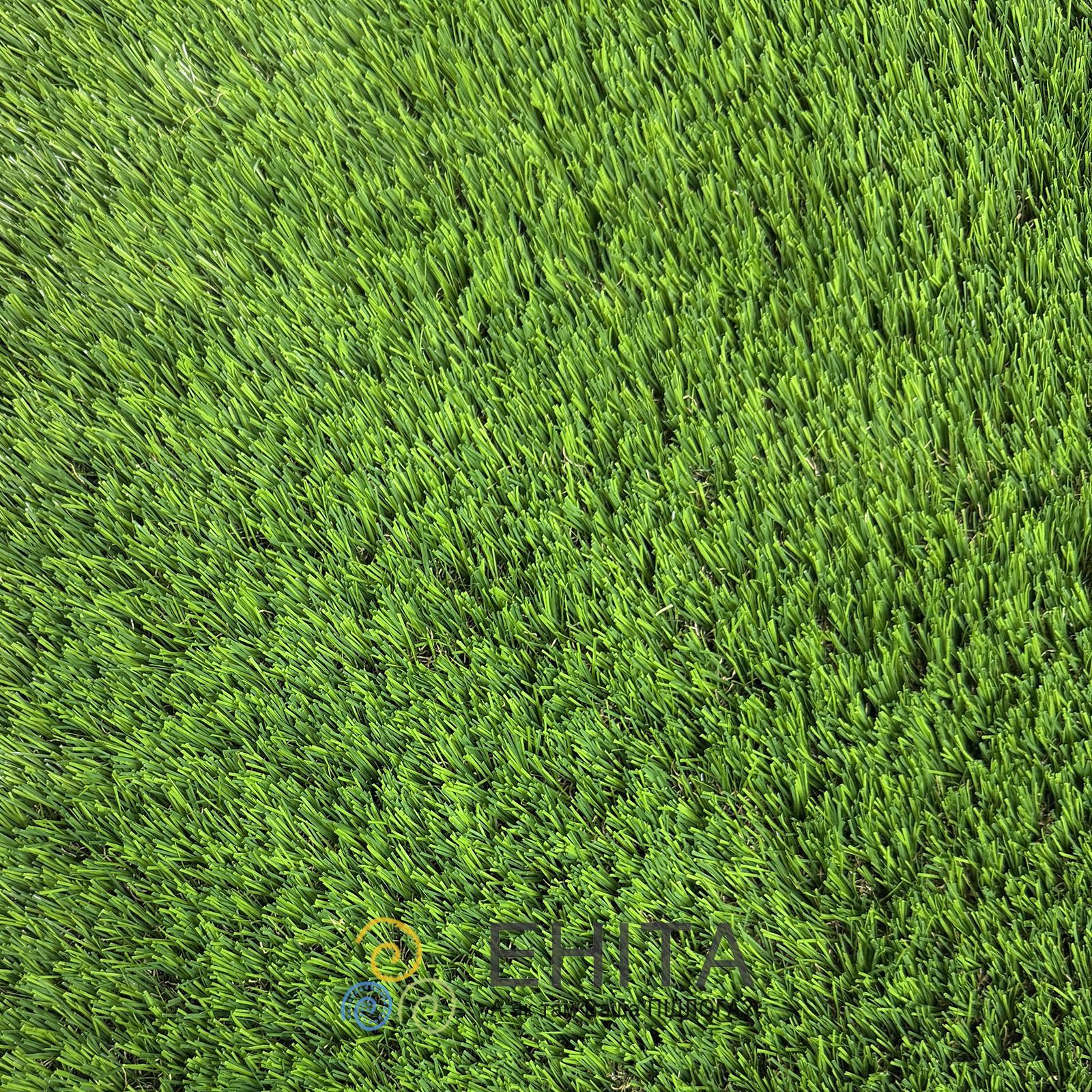 CCGrass Cam 45 Вид зверху