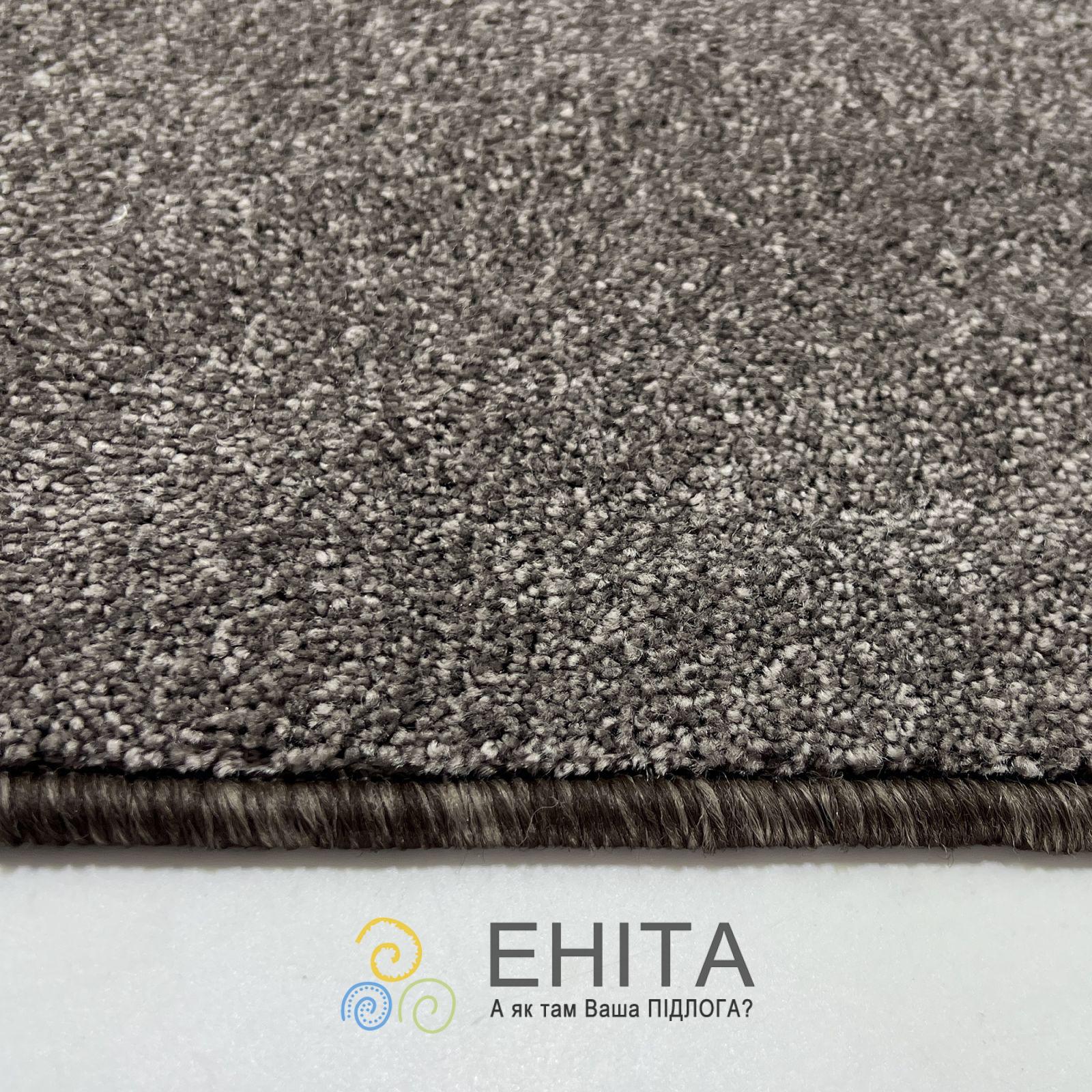 AW Gloria 46 Розріз