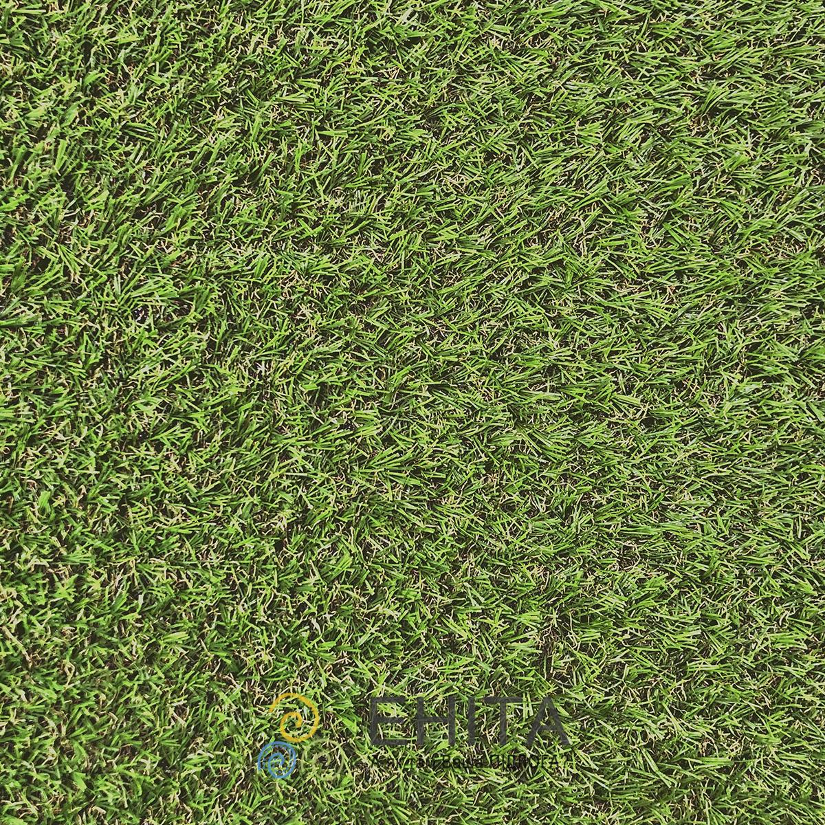 ecoGrass U-20 