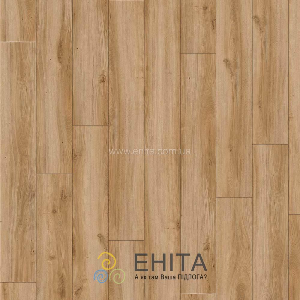 Сlassic oak 24837