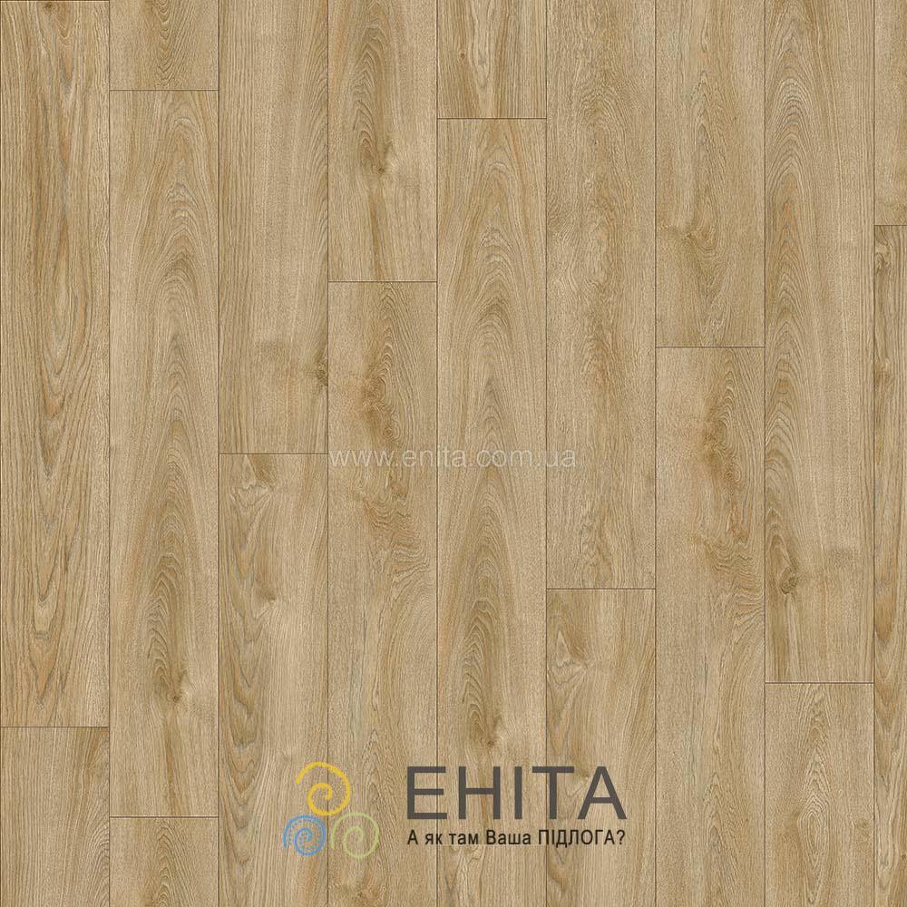 Midland oak 22240
