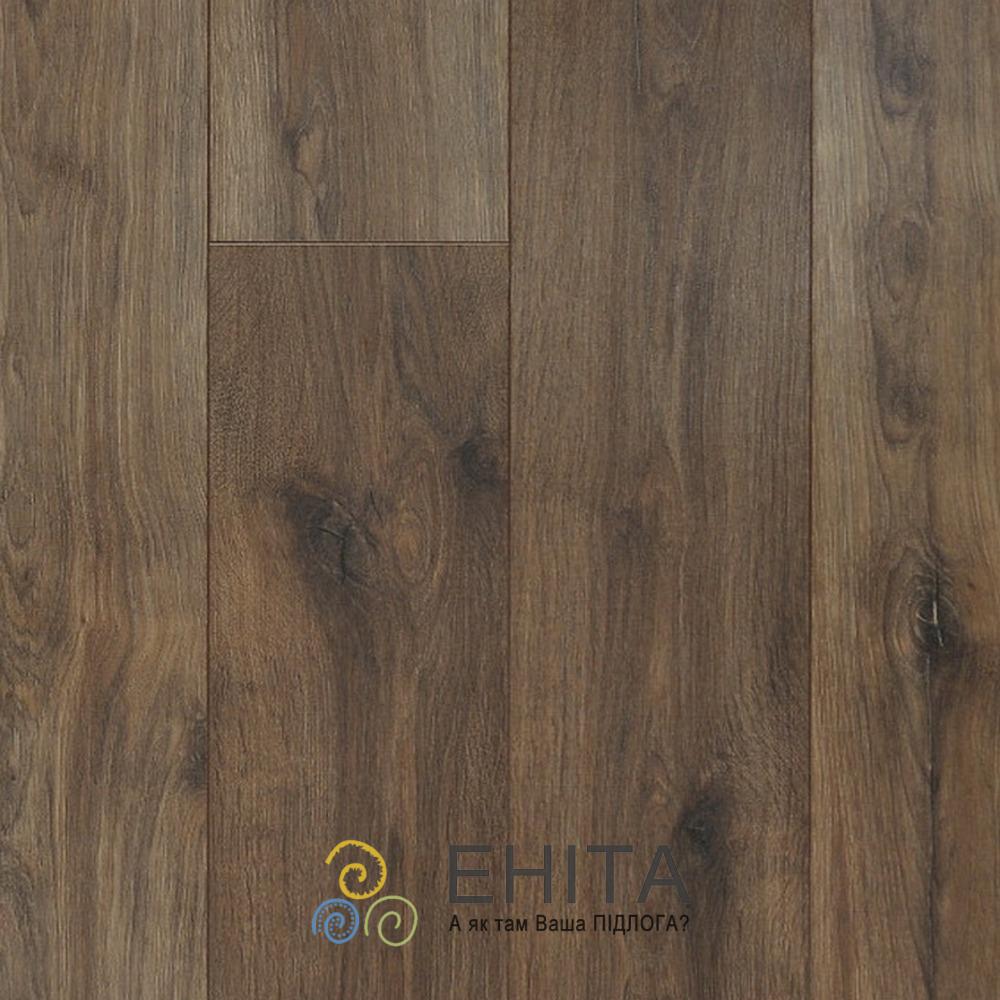 7508 Орех Авола