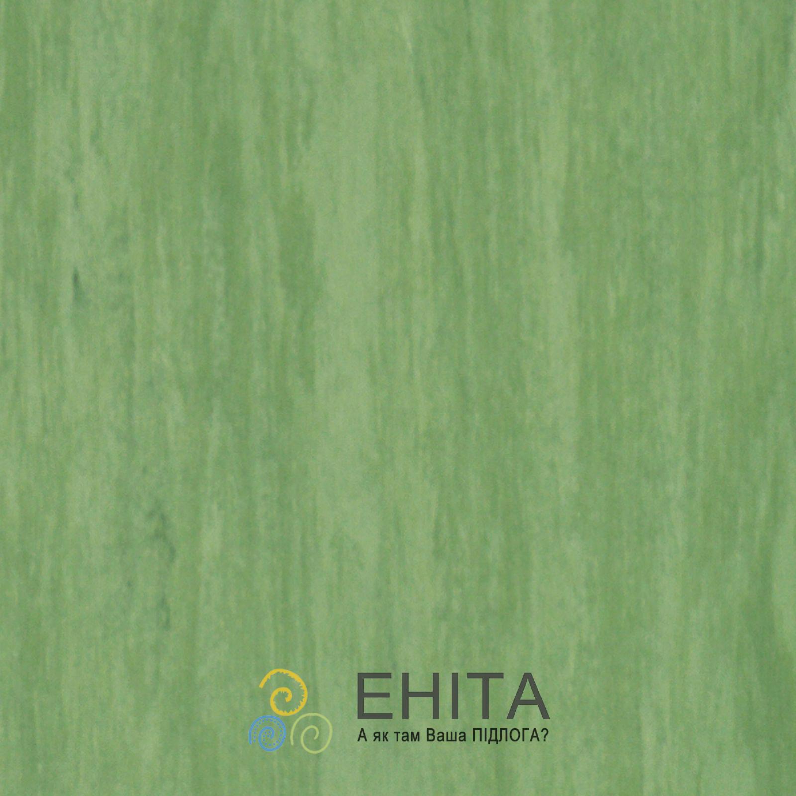 DARK GREEN 0921