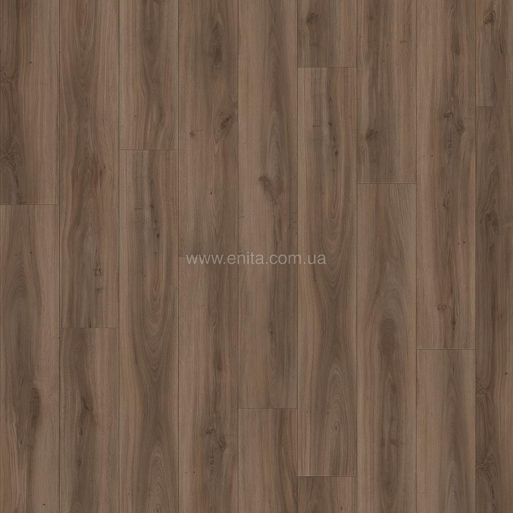 Сlassic oak 24864