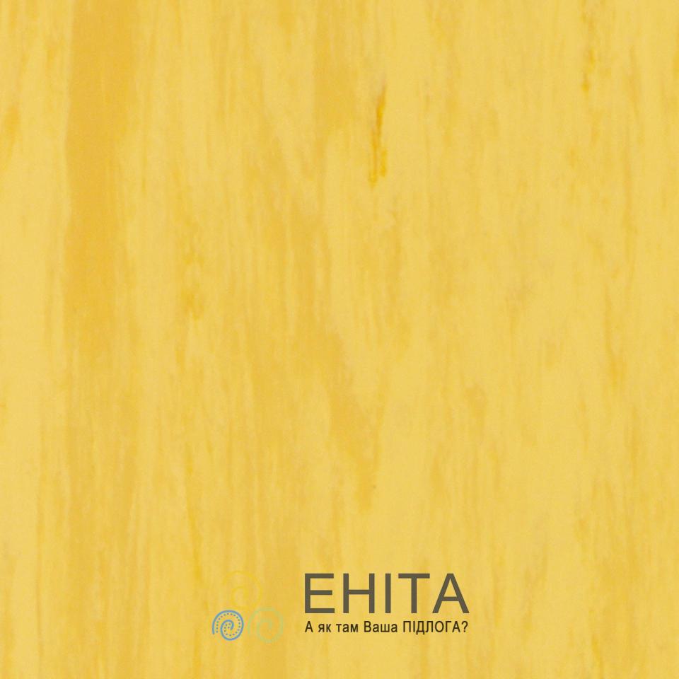 GOLD 0916