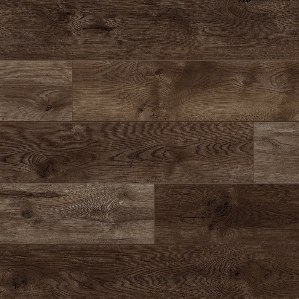 Classen Vision 4V WR