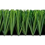 CCGrass Prime SM