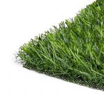 CCGrass Fan 25
