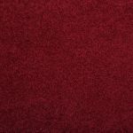 Condor Attraction Carousel