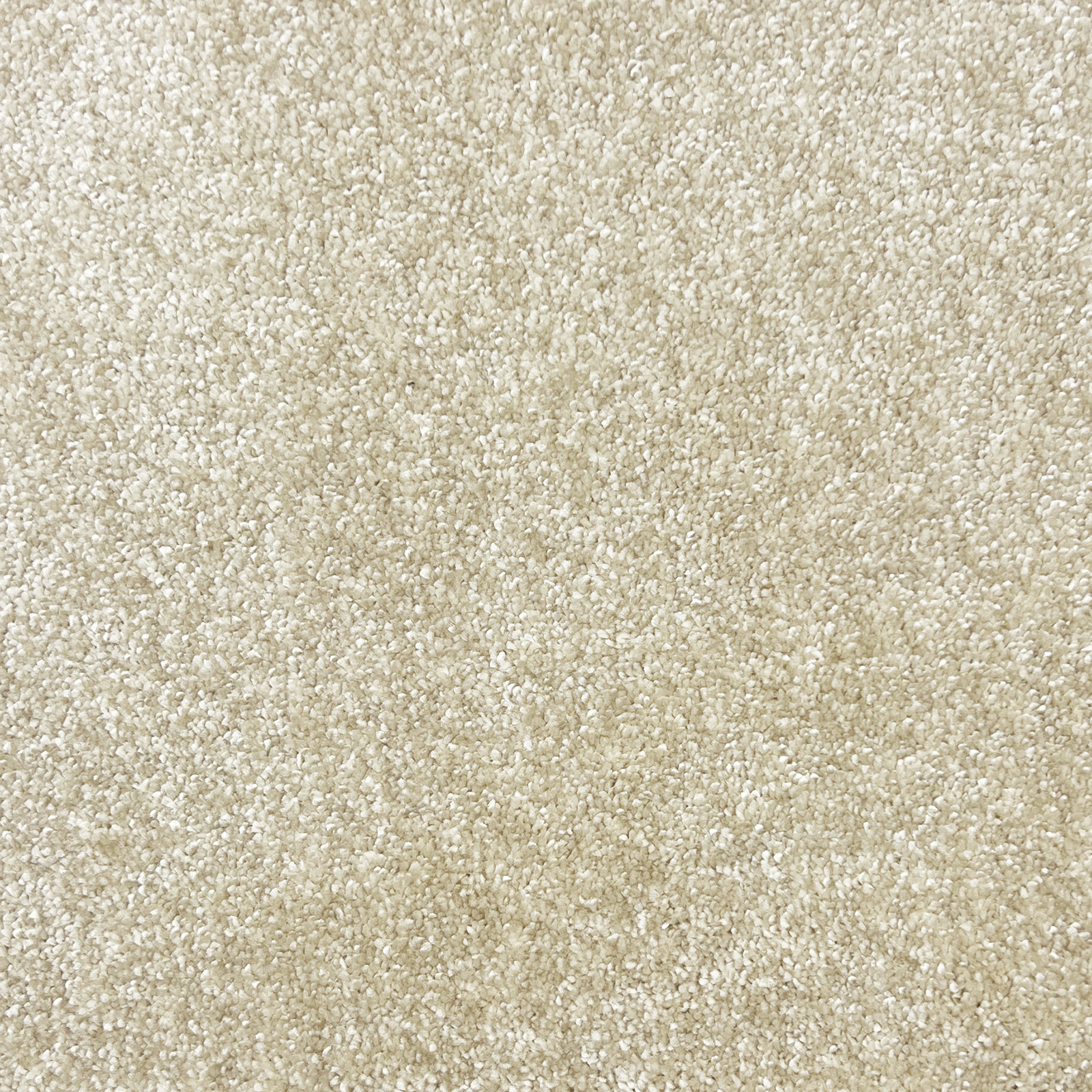 Condor Dolche Condor Dolche