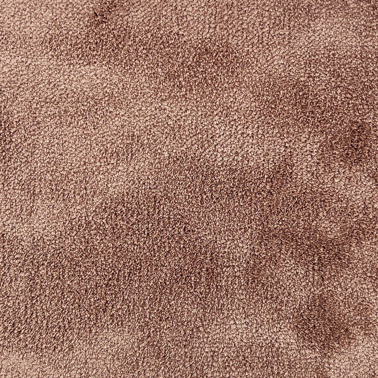 Condor Sweet Condor Sweet