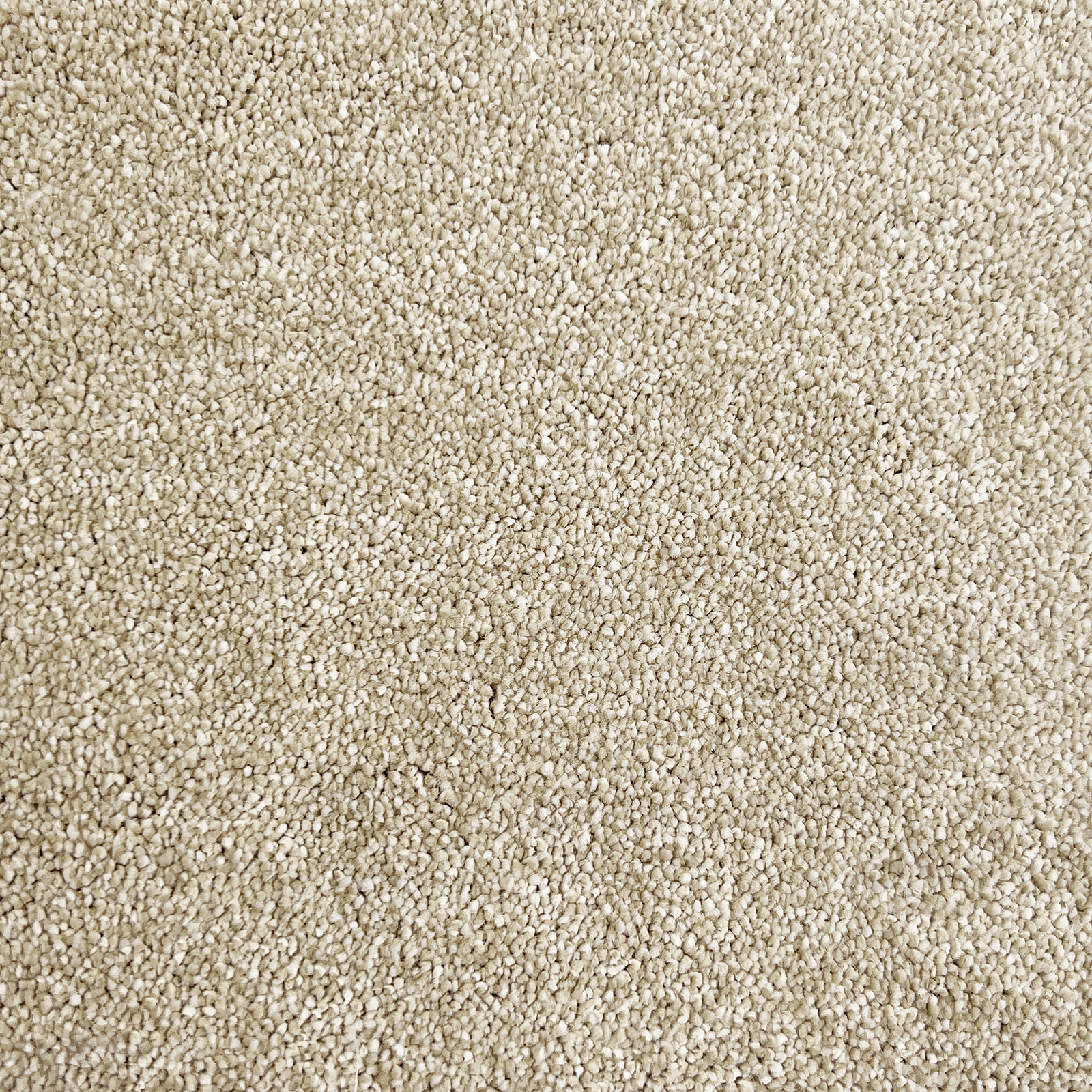 Condor Ultimate Twist