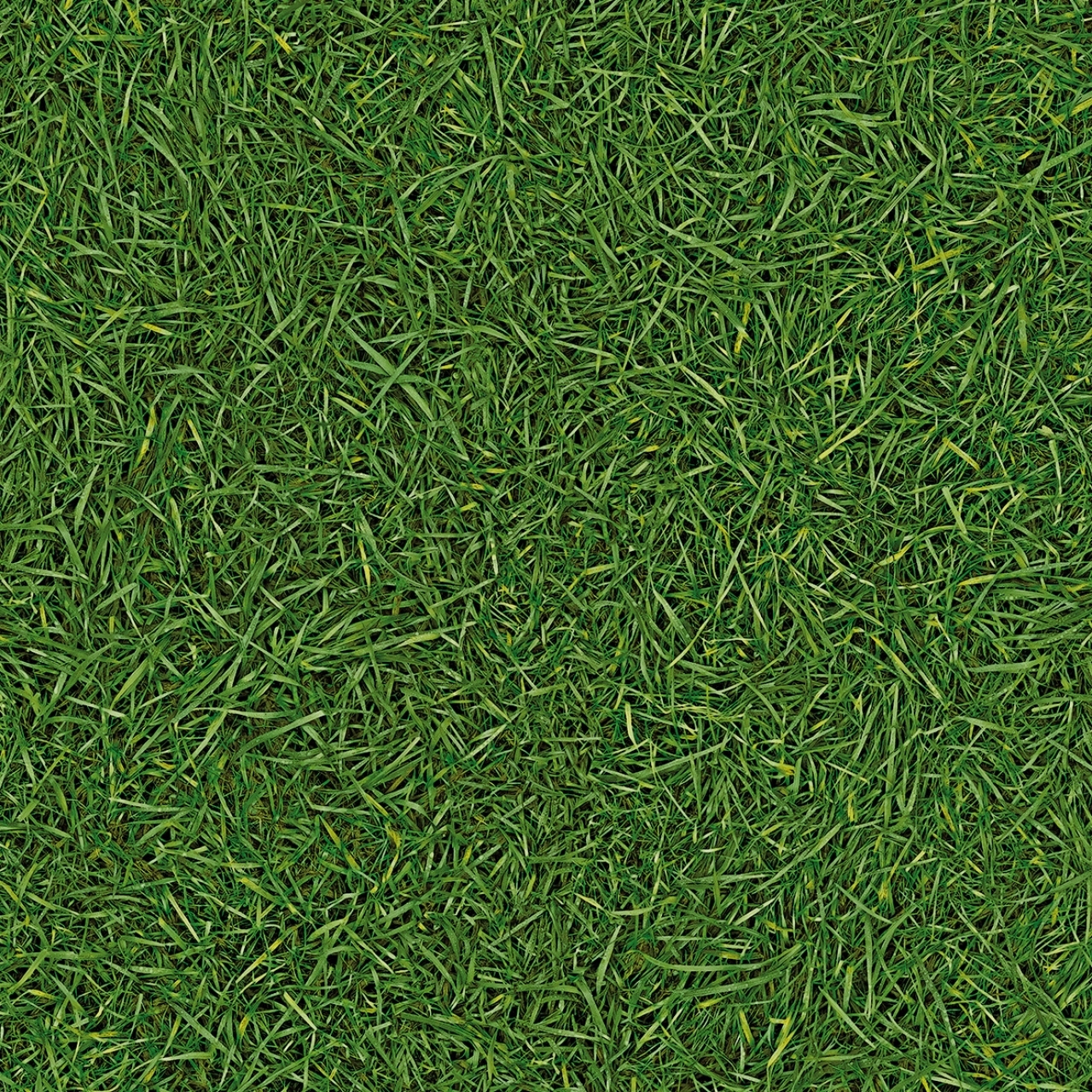 IVC NEO Grass 25