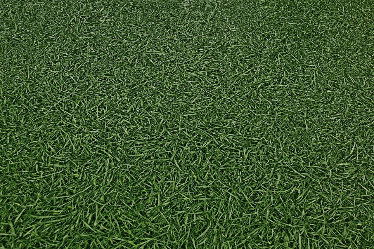 IVC NEO Перспектива Grass 25