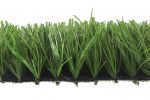 CCGrass Venus