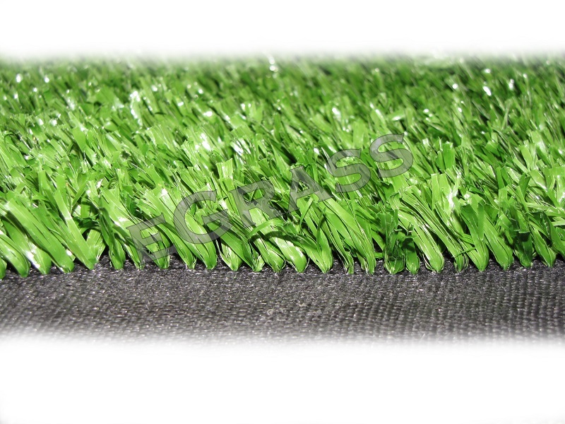 eGrass 20