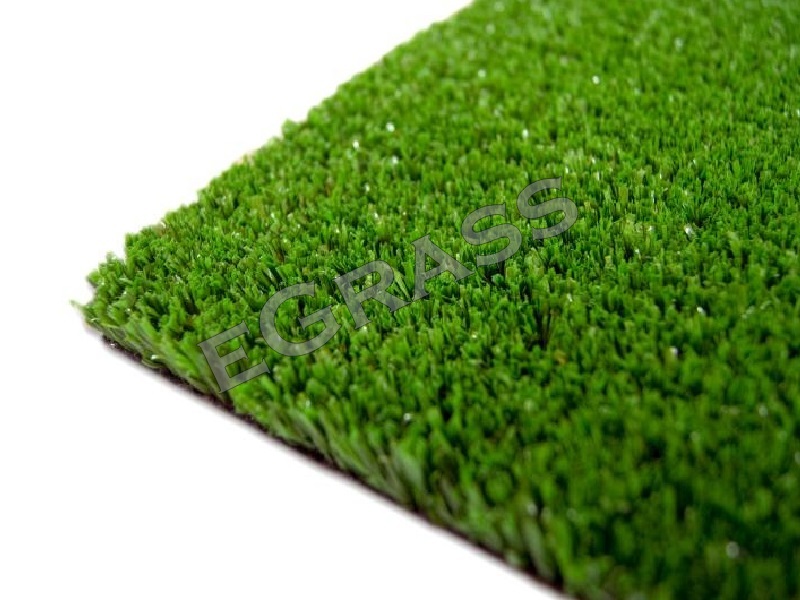 eGrass 10