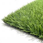 ecoGrass SD-20
