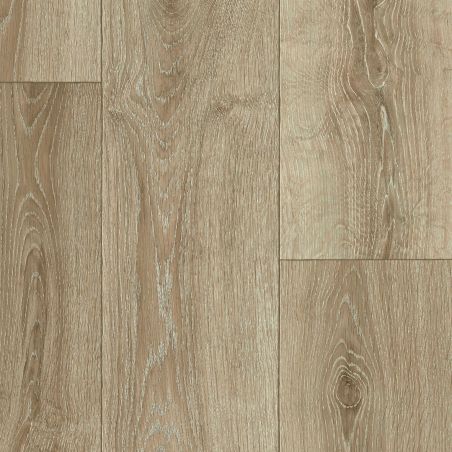 IVC Bingo  Cherbourg oak T37
