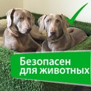 Искусственная трава для животных