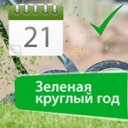 Зеленая круглый год Зеленая круглый год